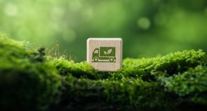 Dado com uma ilustração de um caminhão, sobre musgos. Uma referência a logística verde.